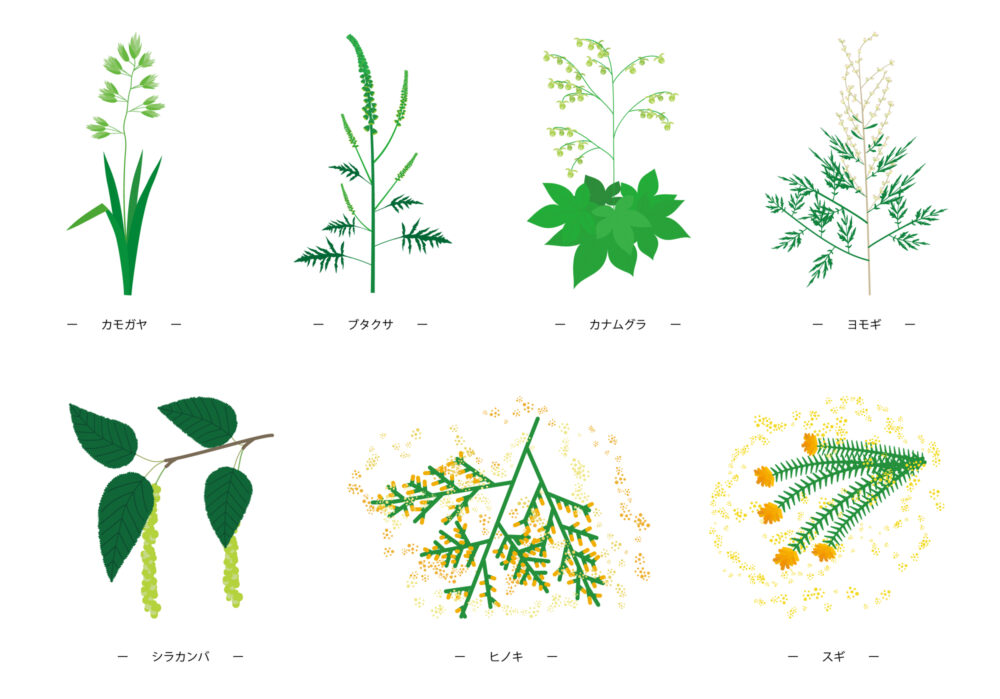 子どもの花粉症の原因